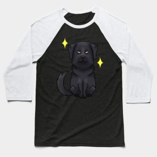 Black flat coated retriever Baseball T-Shirt